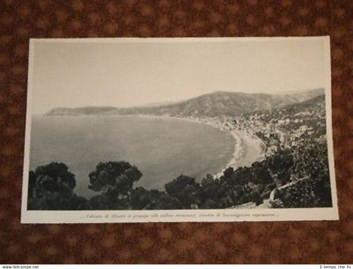 Foto dell'Abitato di Alassio