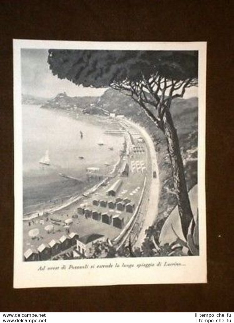 Foto La Lunga Spiaggia di Lucrino ad ovest di Pozzuoli