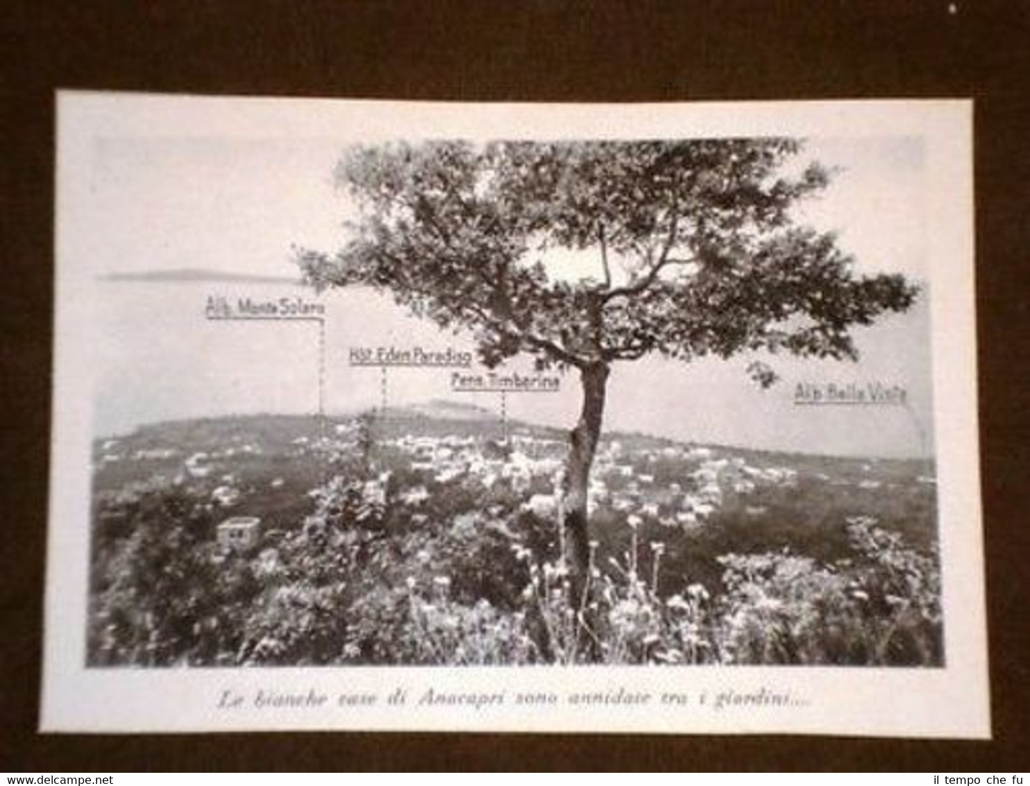 Foto Le bianche case di Anacapri