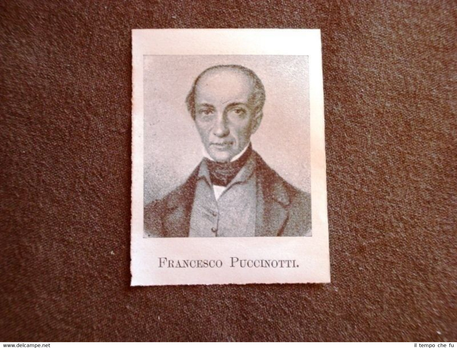 Francesco Puccinotti + Giovacchino Belli