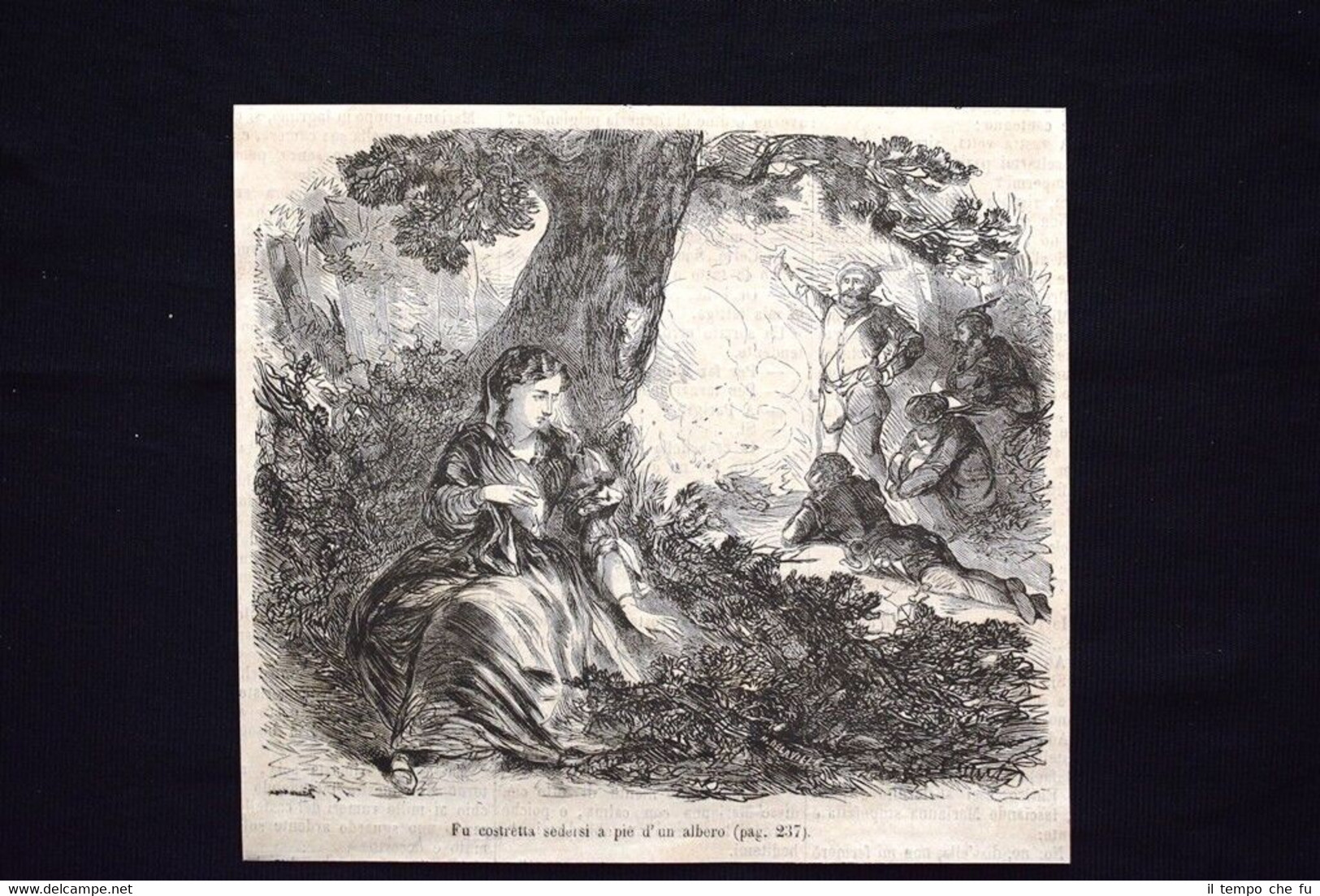Fu costretta a sedersi a piè d'un albero Incisione del …