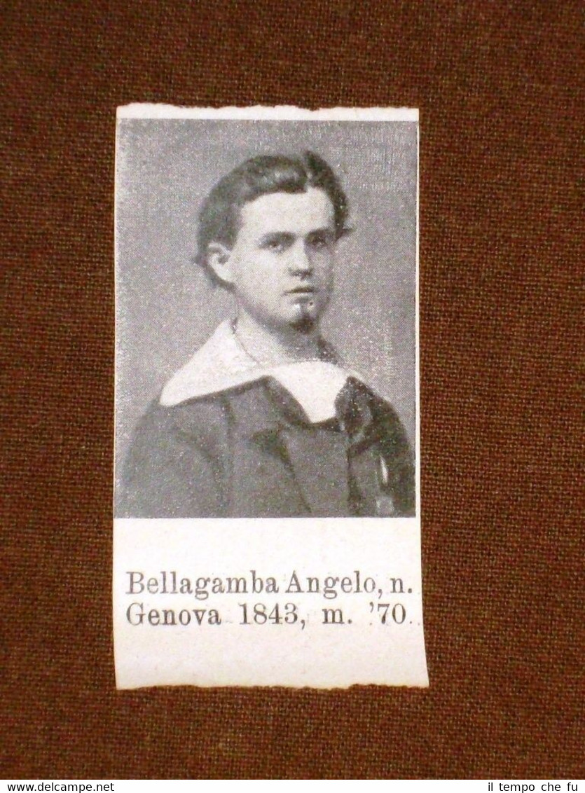 Garibaldino 1000 Garibaldi Bellagamba Angelo di Genova e Borchetta G.di …