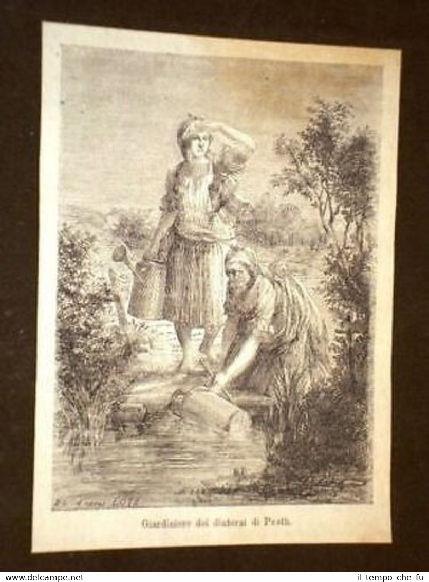 Giardiniere o giardiniera di Pesth o Budapest Ungheria
