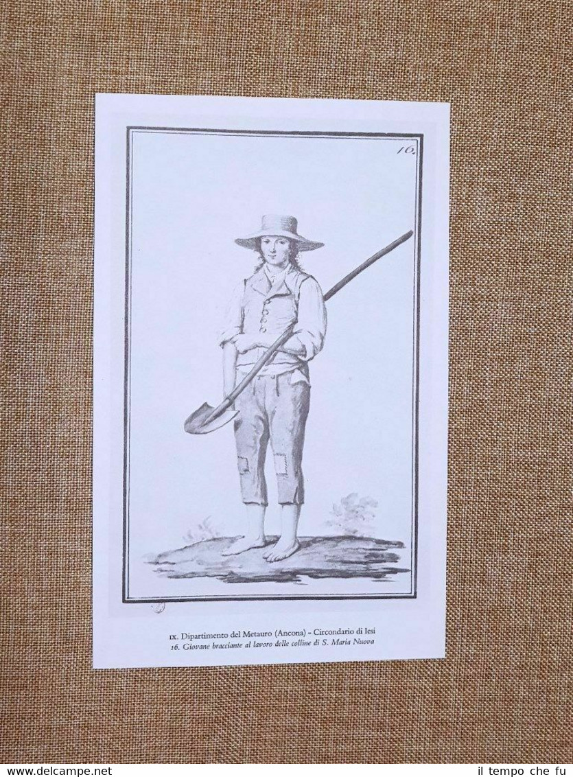 Giovane Santa Maria Nuova Iesi Metauro Ancona Regno Italico d'Italia …