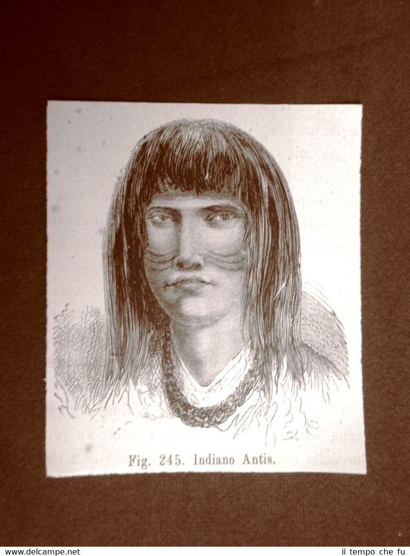 Giovane uomo Indiano Antis nel 1883 Moda e costume