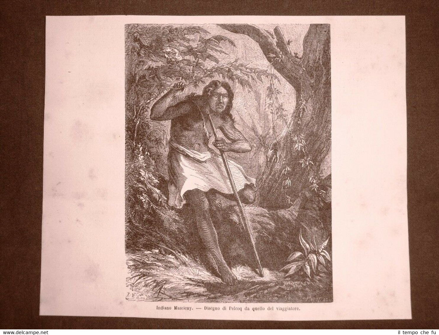 Gli Indiani d'America nel 1863 Etnia Mascicuy