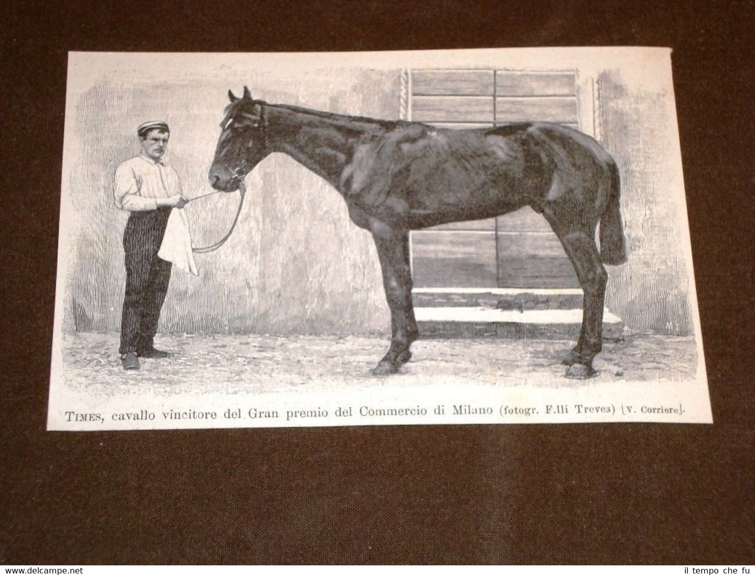 Gran Premio del Commercio di Milano nel 1894 Cavallo vincitore …