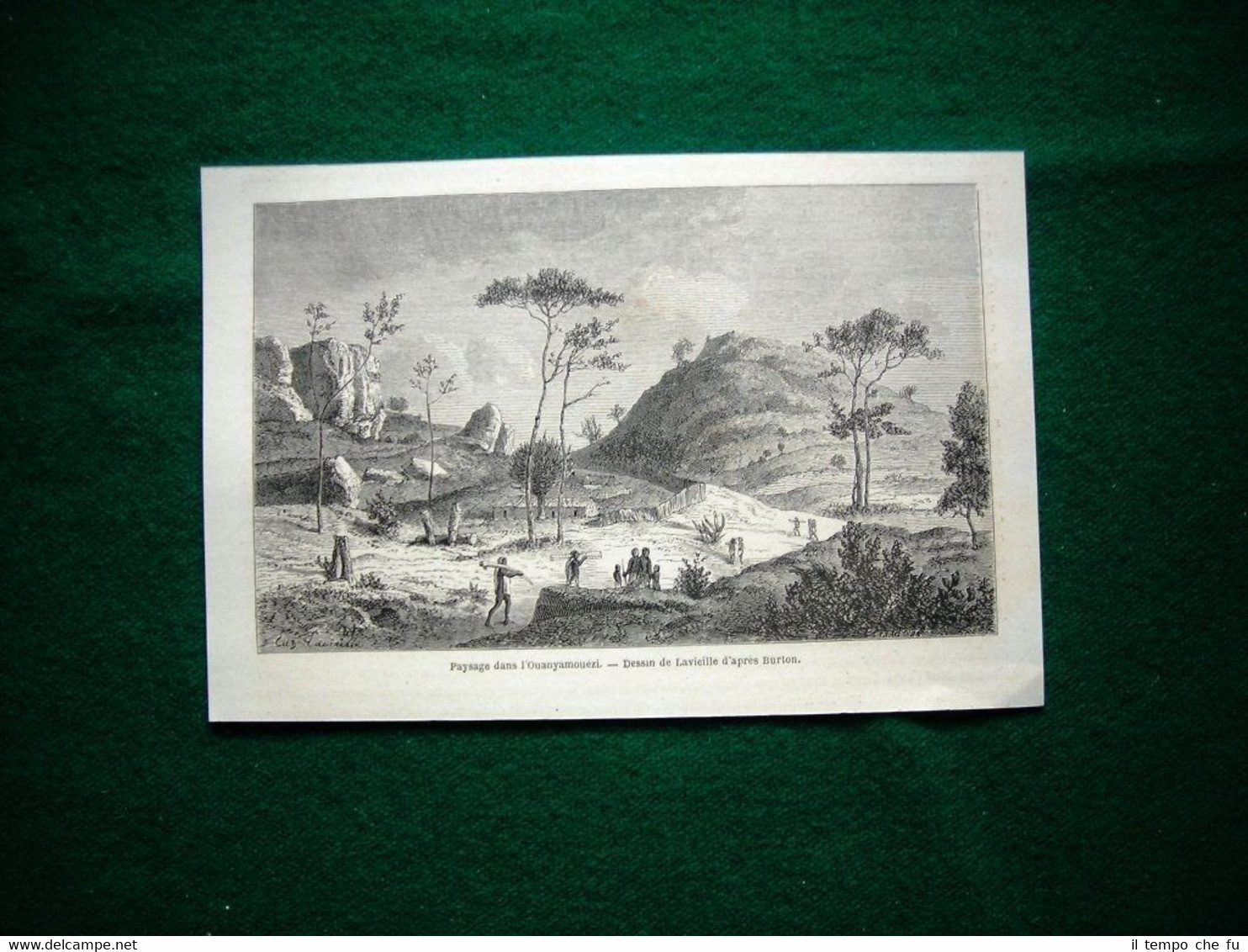 Gravure année 1860 paysage dans l'Ouanyamouézi, Afrique, Africa
