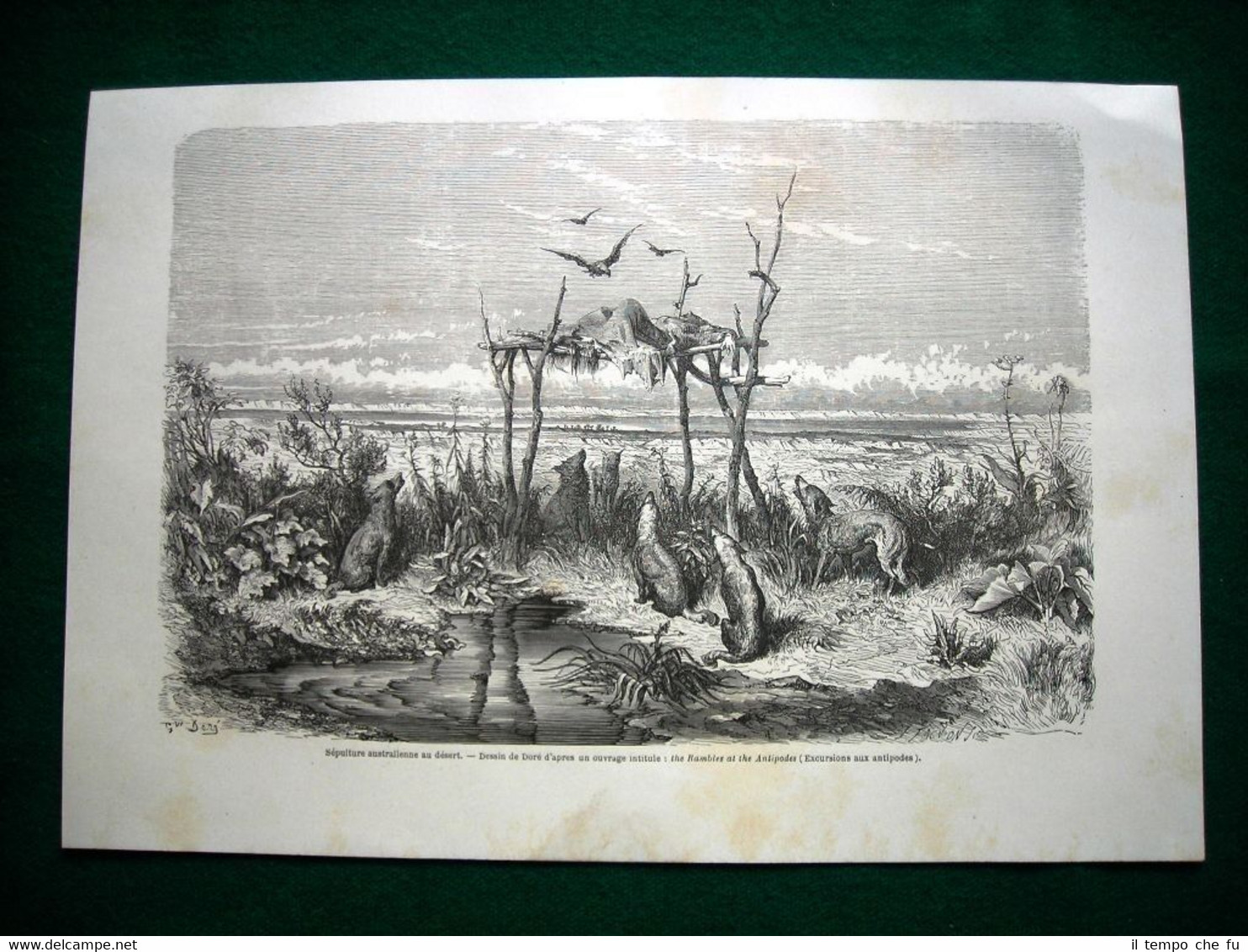 Gravure année 1860 sépulture australienne au désert - sepoltura nel …