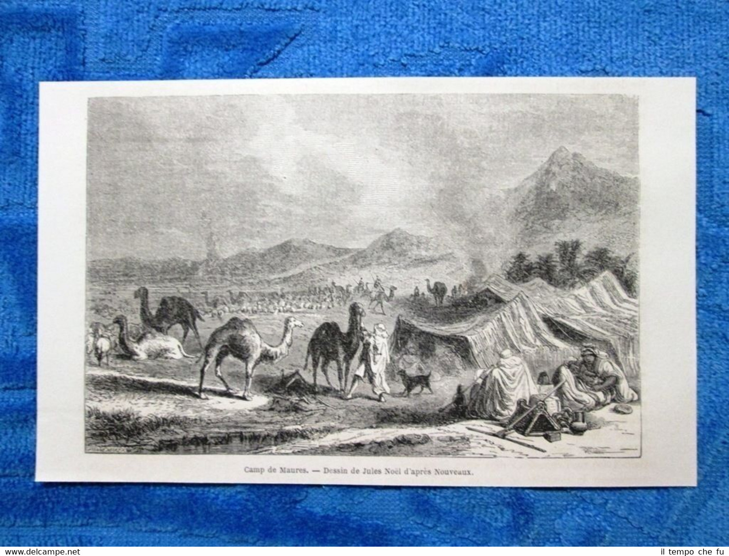 Gravure Année 1861 - Camp de Maures - Campo di …