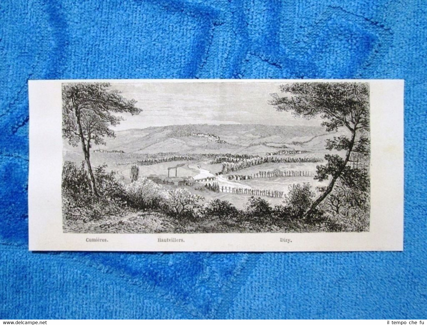 Gravure Année 1861 - Les vignobles de la Marne + …