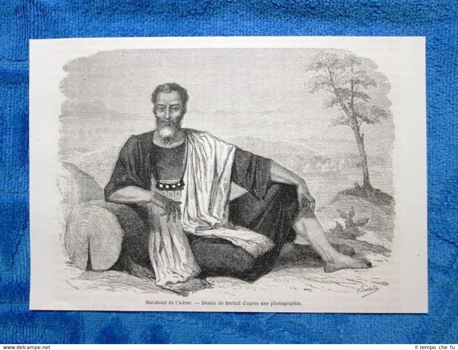 Gravure Année 1861 - Marabut de l'Adrar