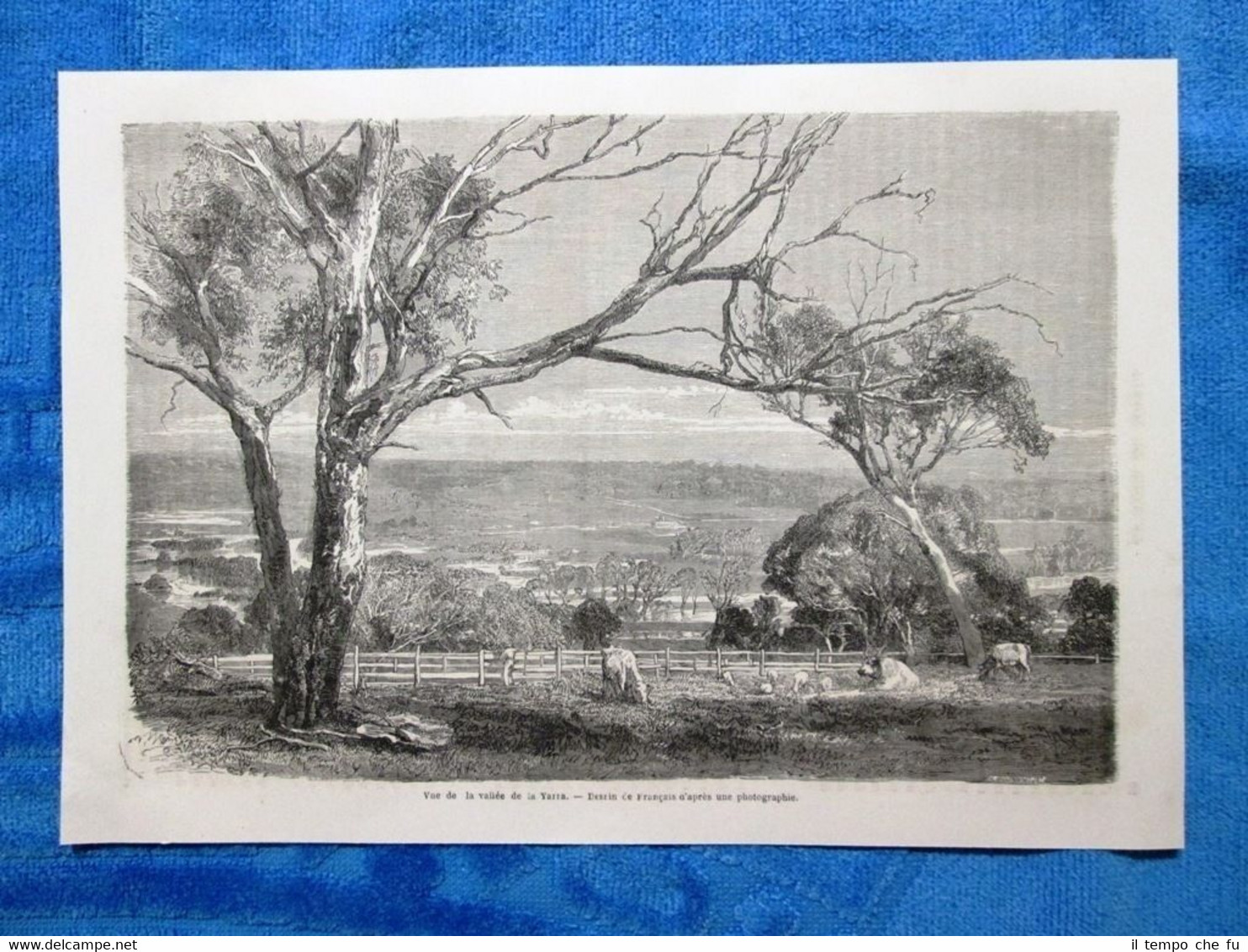 Gravure Année 1861 - Vue de la vallée de la …