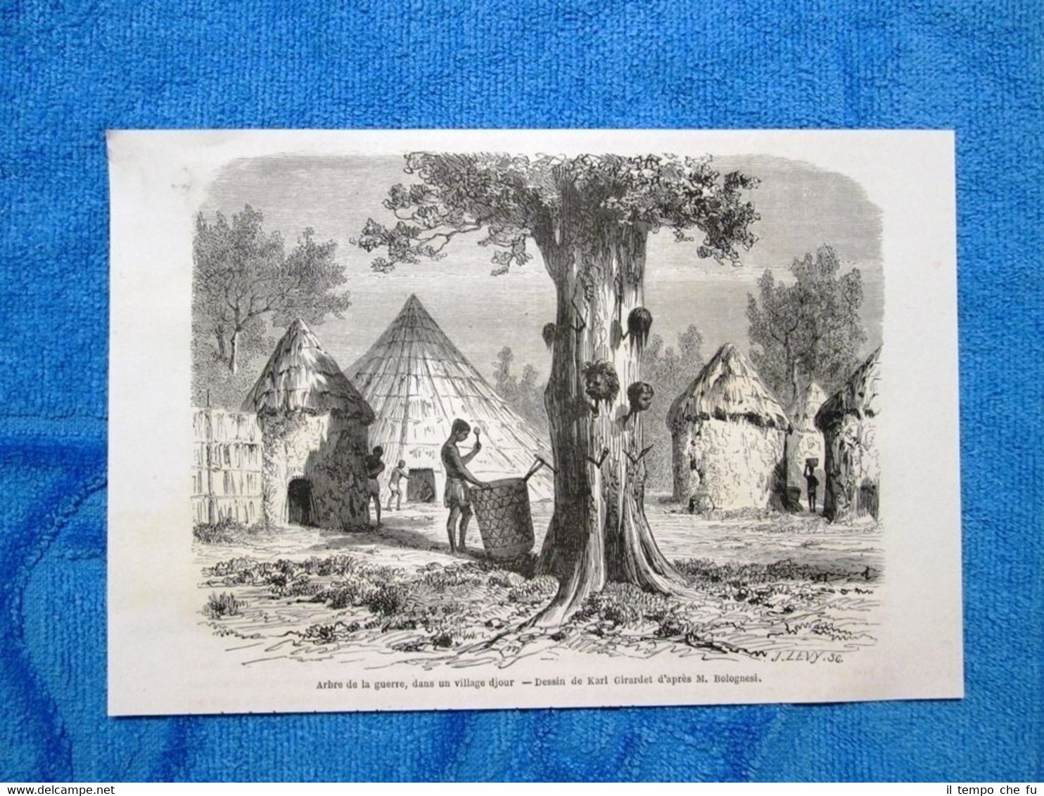 Gravure Année 1862 - Arbre de la guerre, dans un …