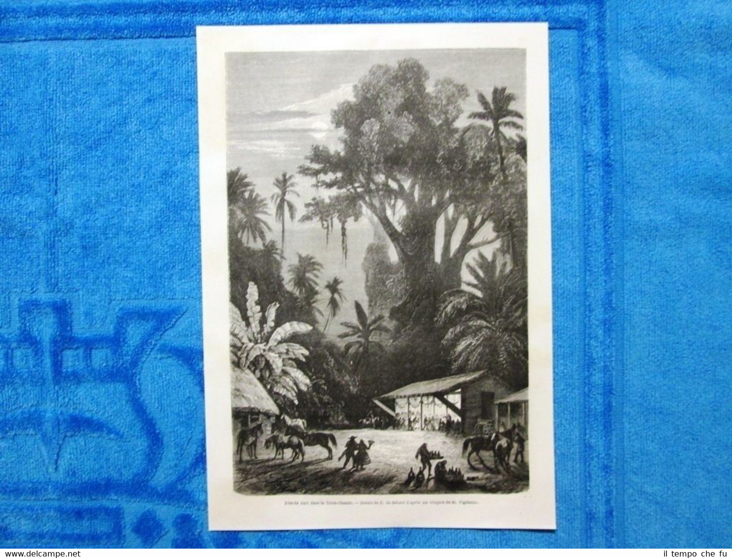 Gravure Année 1862 - Fete de nuit dans la Terre-Chaude …