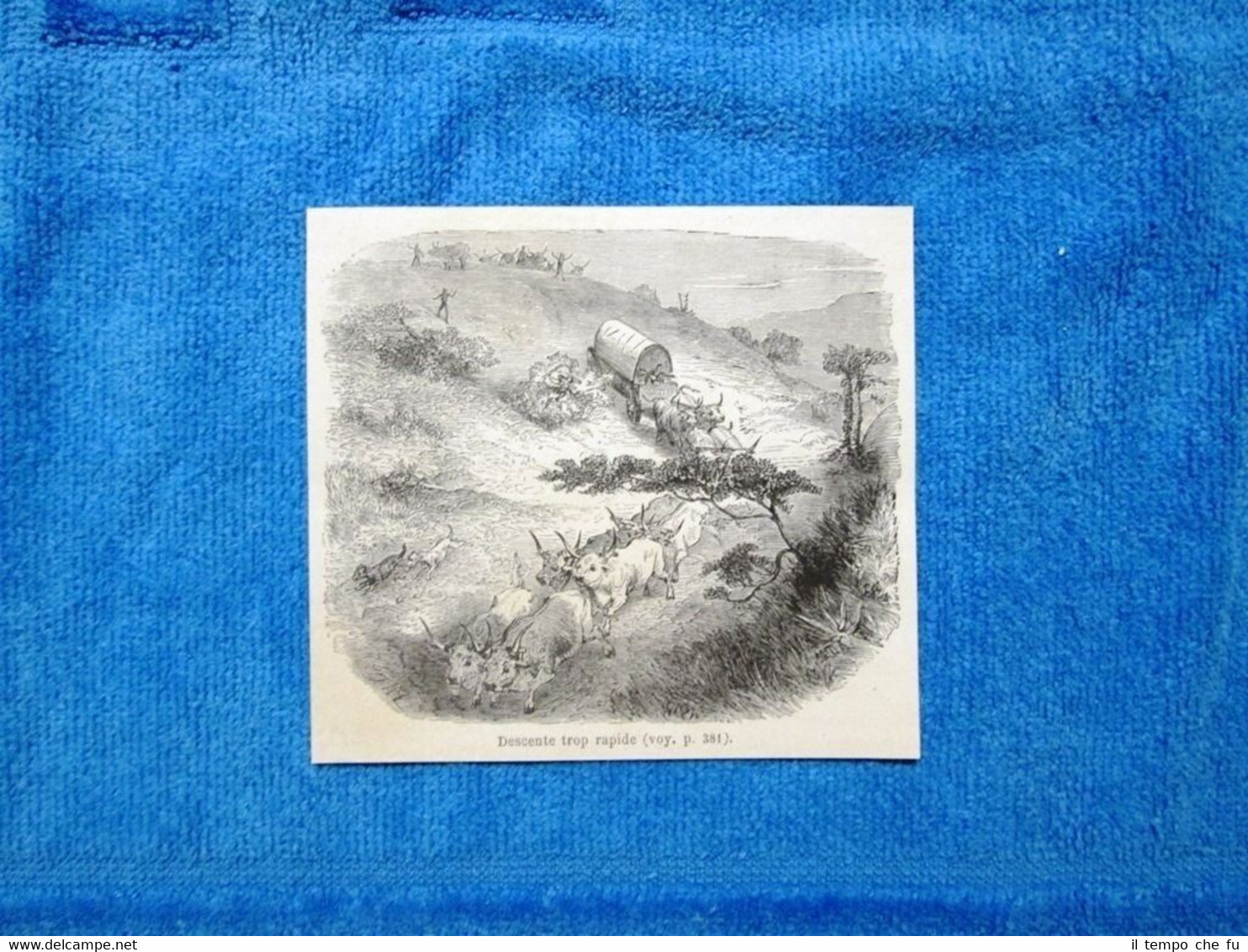 Gravure Année 1863 - Descente trop rapide - Discesa troppo …