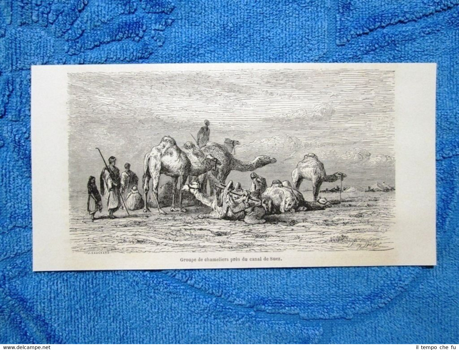 Gravure Année 1863 - Groupe de chameliers pres du canal …