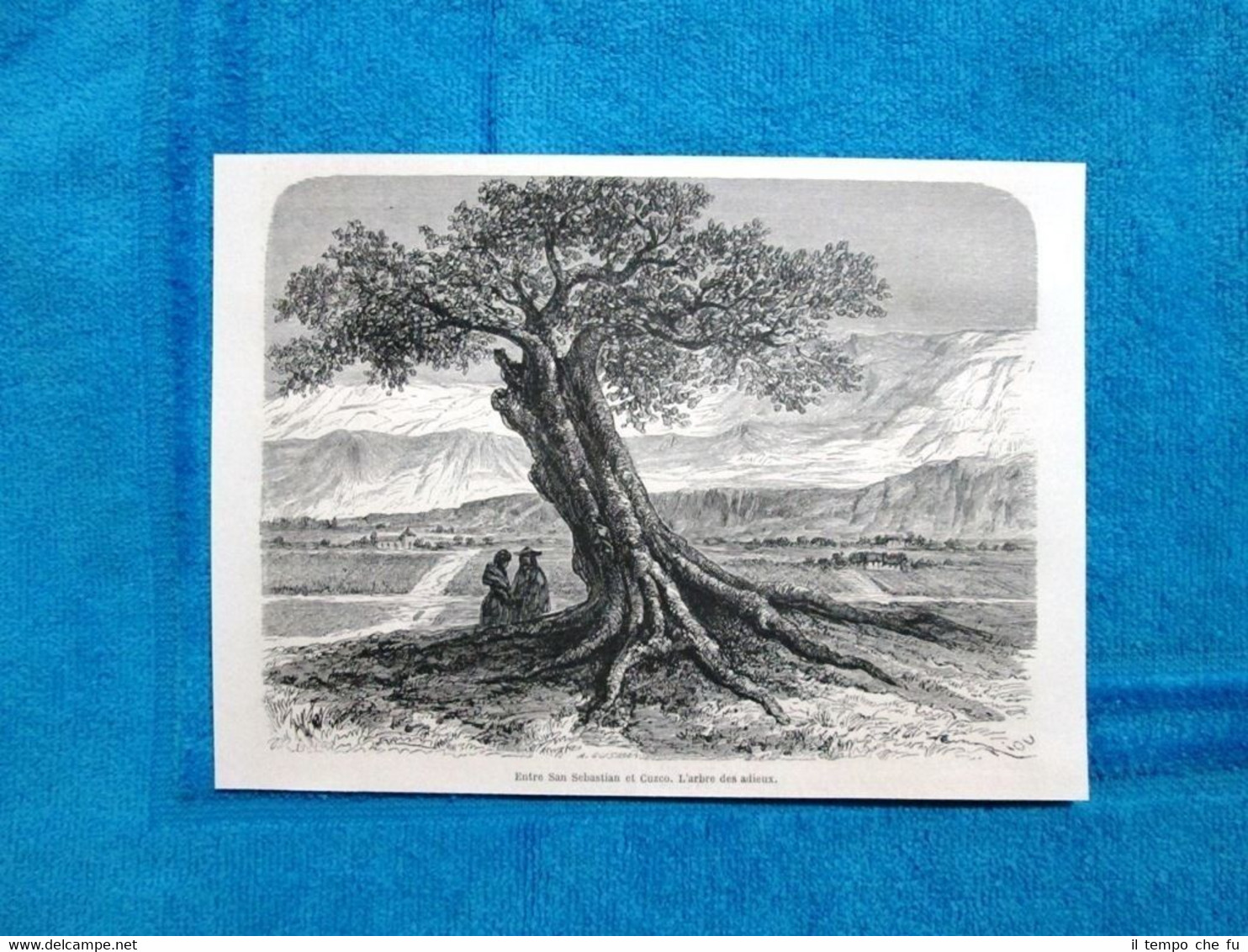 Gravure Année 1863 - L'arbre des adieux, entre San Sebastian …