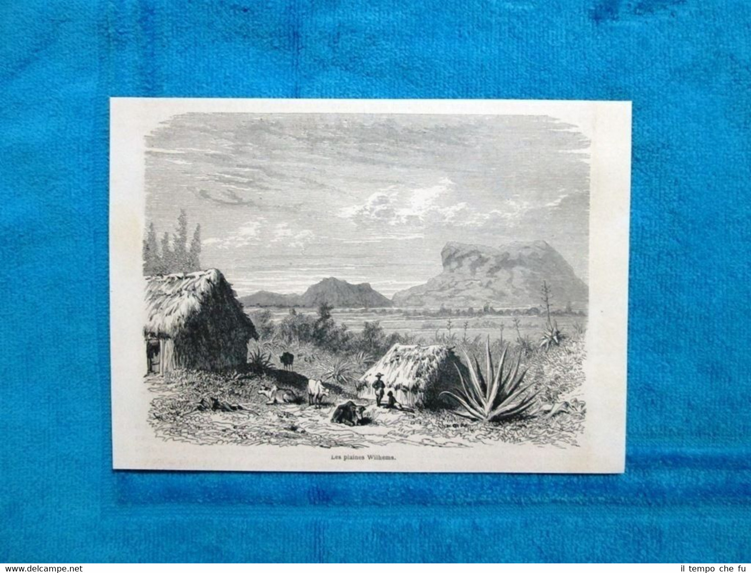 Gravure Année 1863 - Les plaines Wilhems - Le pianure …