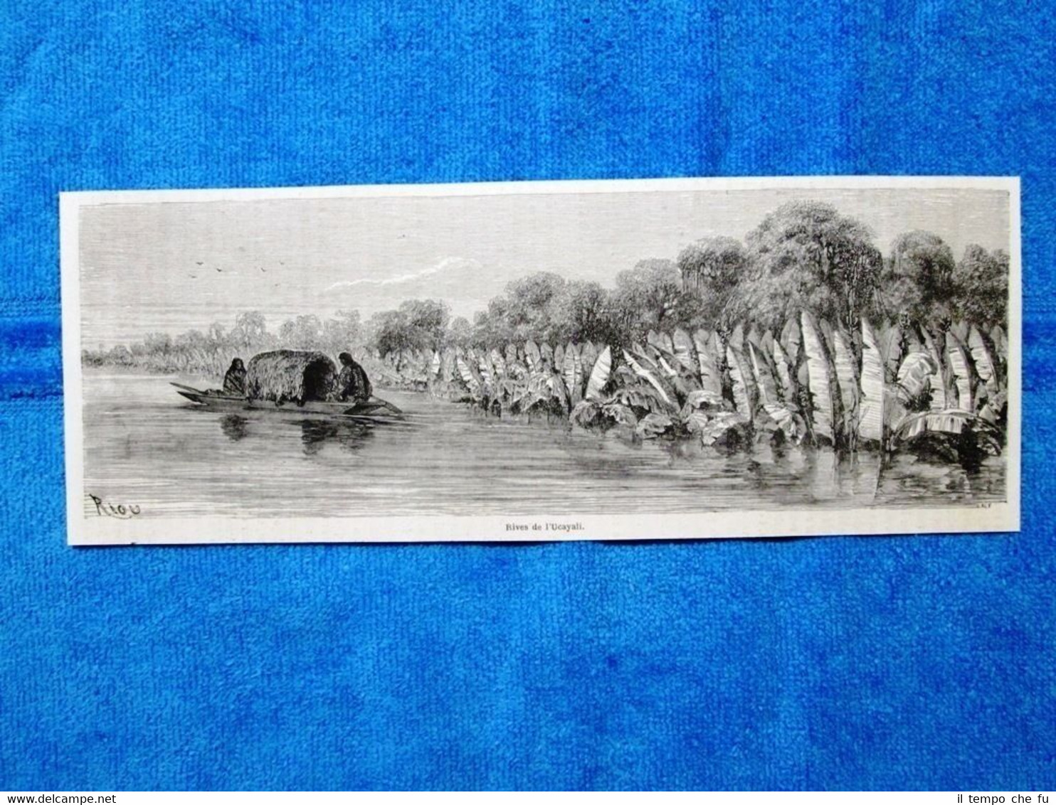 Gravure Année 1864 - Rives de l'Ucayali - Rive dell'Ucayali