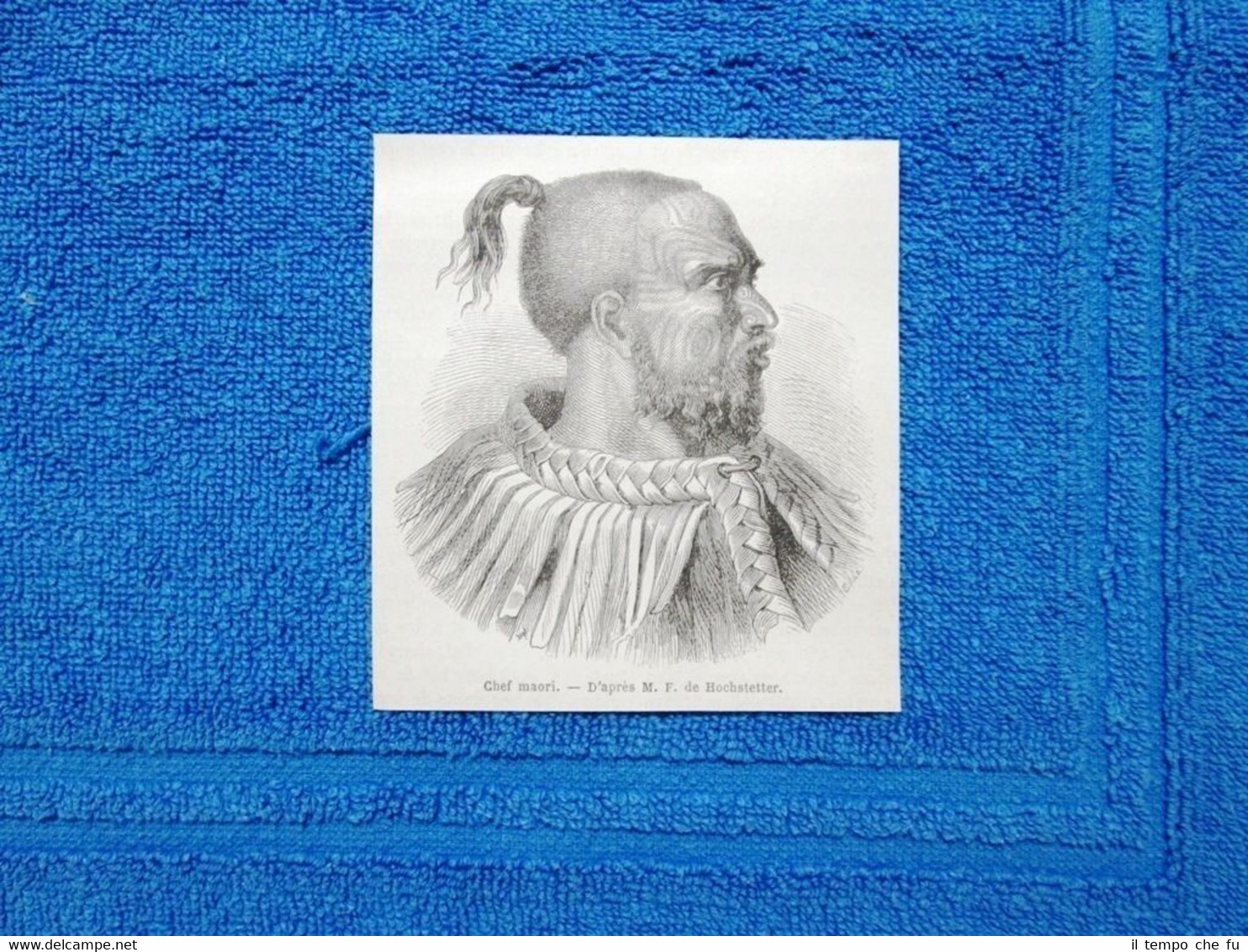 Gravure Année 1865 - Chef Maori - Capo Maori