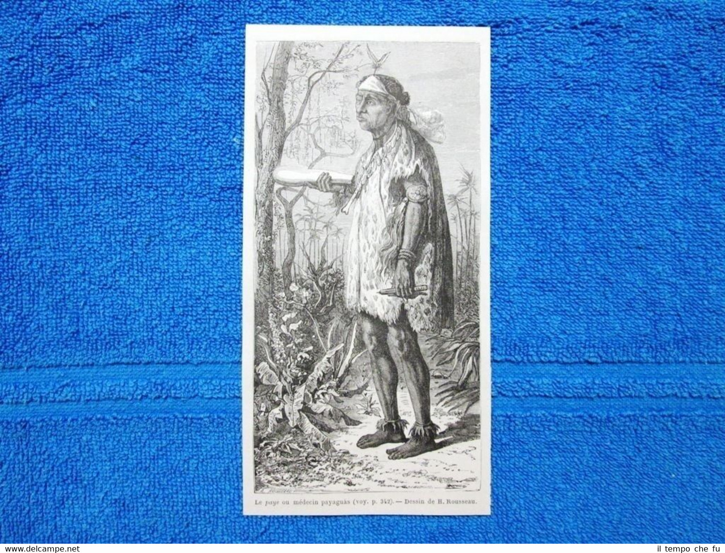 Gravure Année 1865 - Le paye ou médecin payaguàs + …