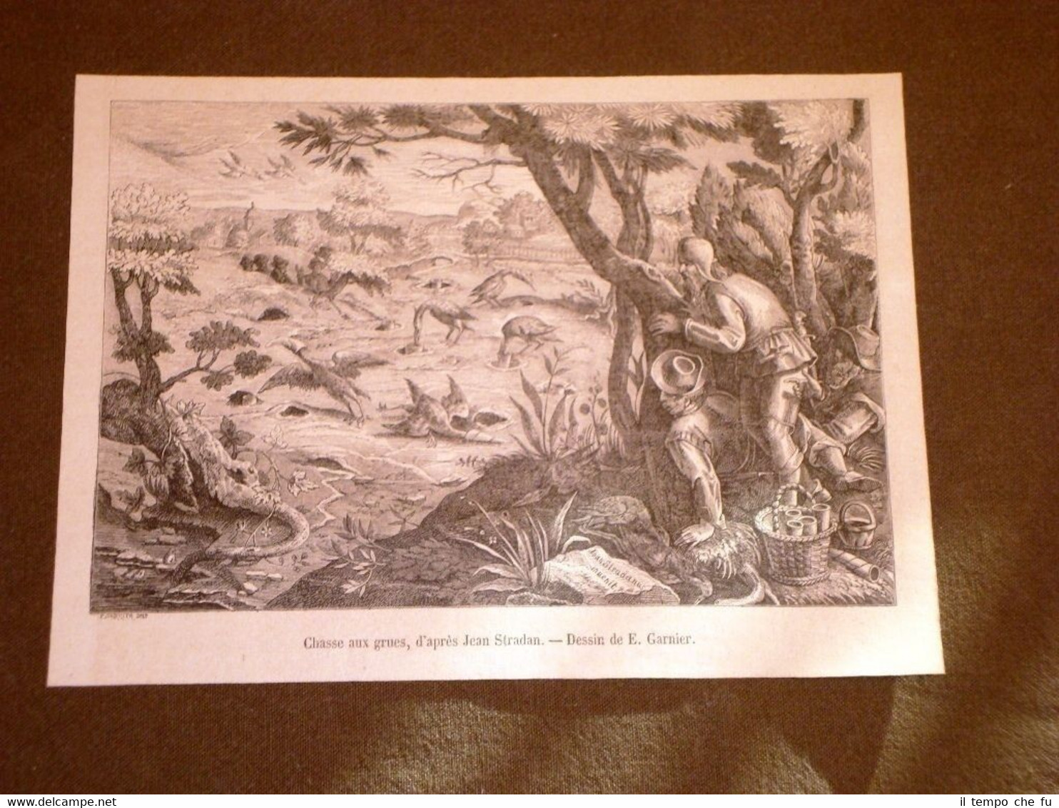 Gravure année 1873 Chasse aux grues - Dessin de E.Garnier