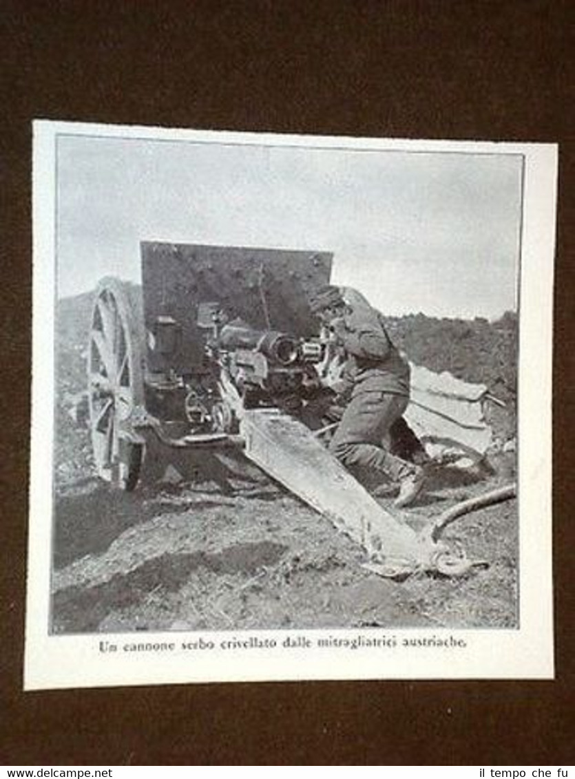 Guerra in Europa Anno 1914 Cannone di Serbia + Capitano …