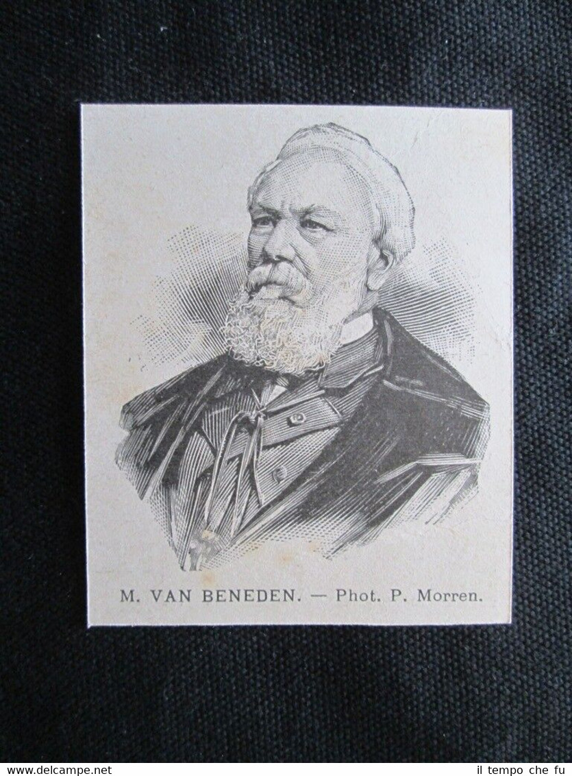 Il biologo belga Edouard Van Beneden Incisione del 1894
