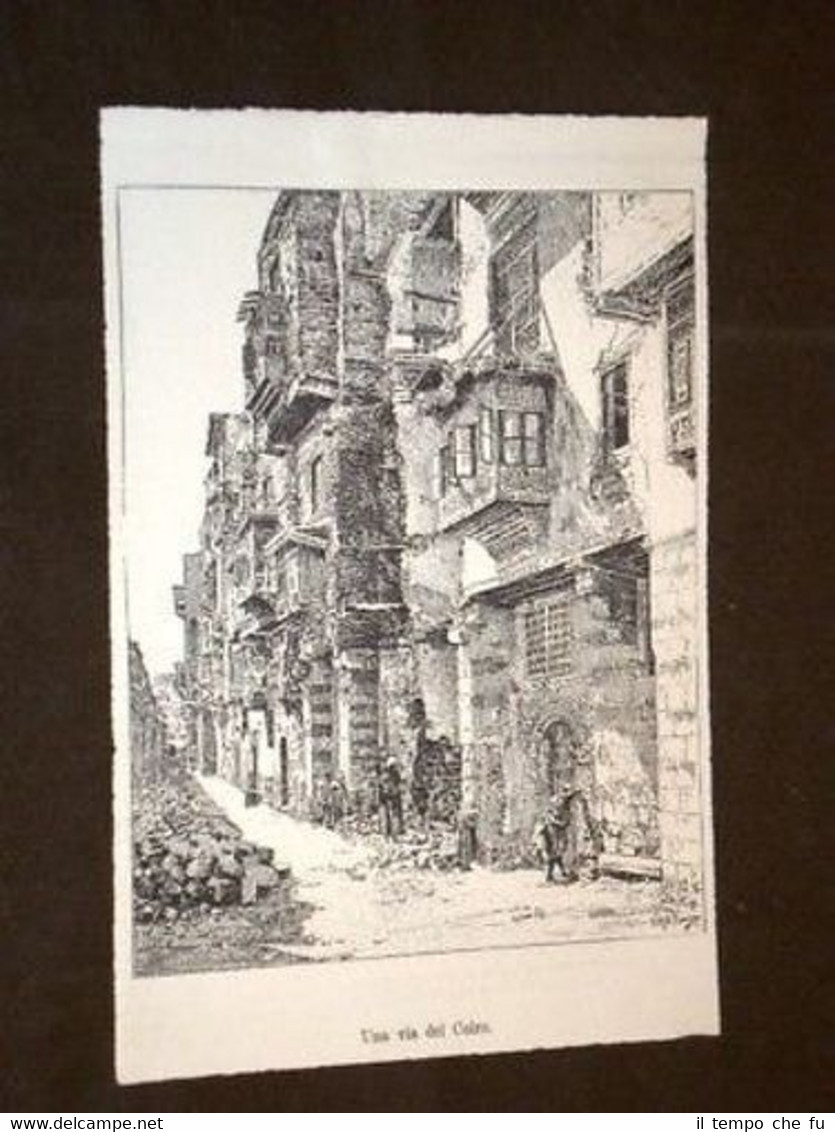 Il Cairo Una Via Egitto