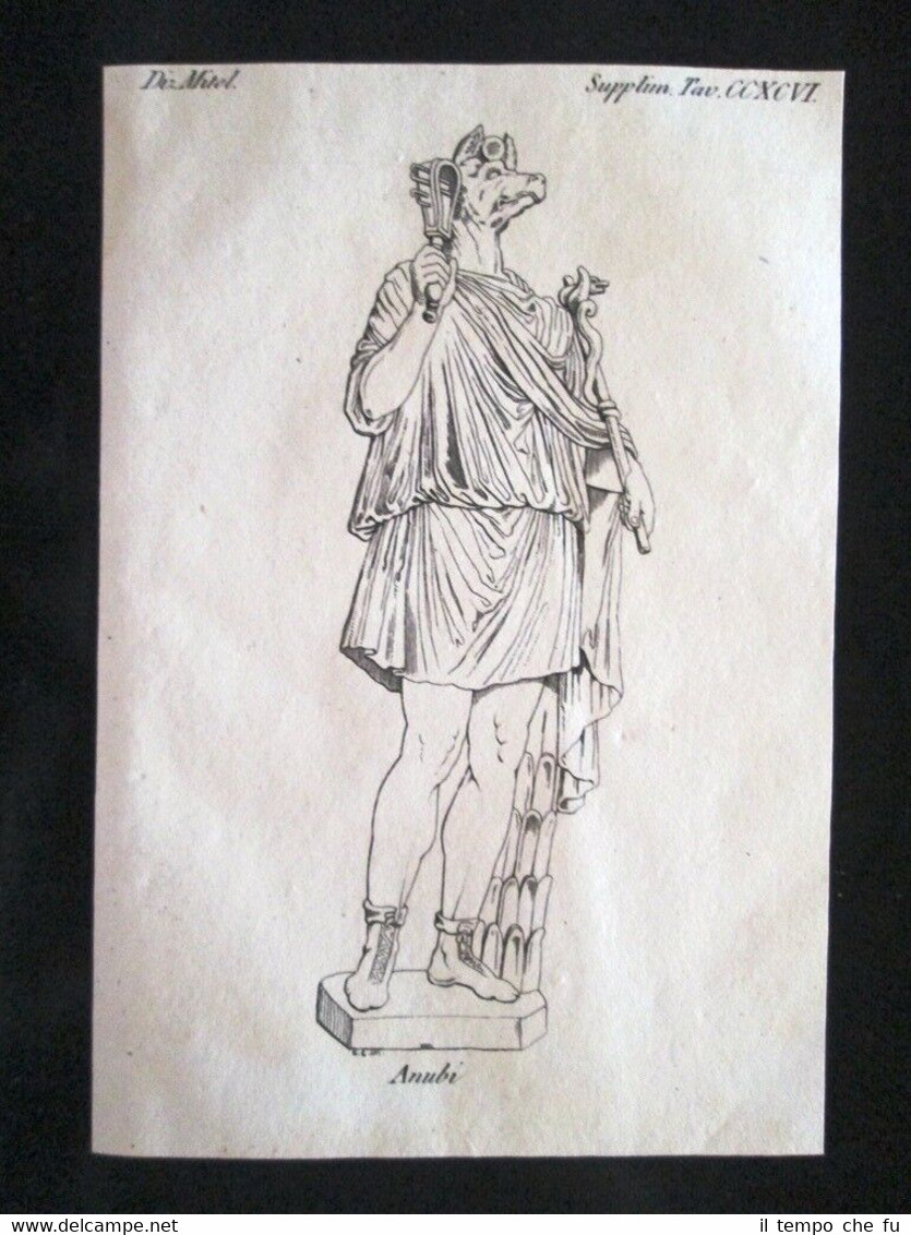 Il dio Anubi, Egitto Incisione all'acquaforte del 1820 Mitologia Pozzoli