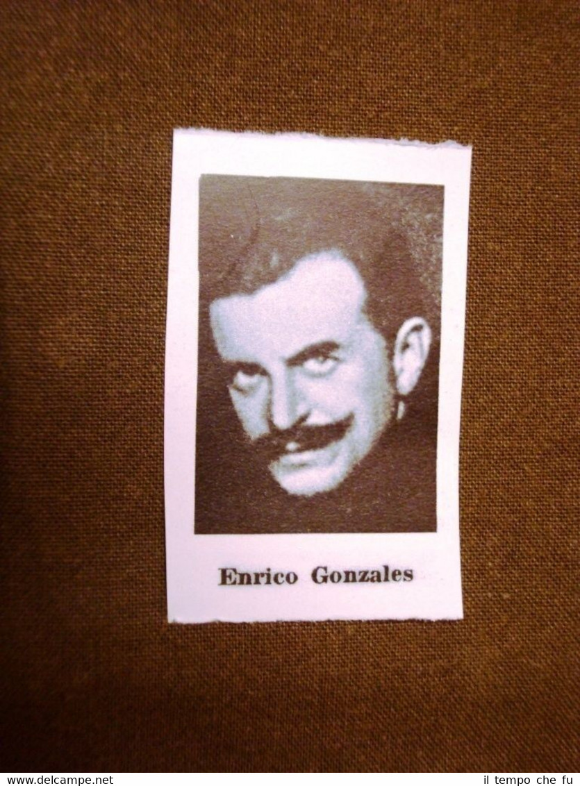 Il Fascismo in Italia nel 1924 All'opposizione Onorevole Enrico Gonzales
