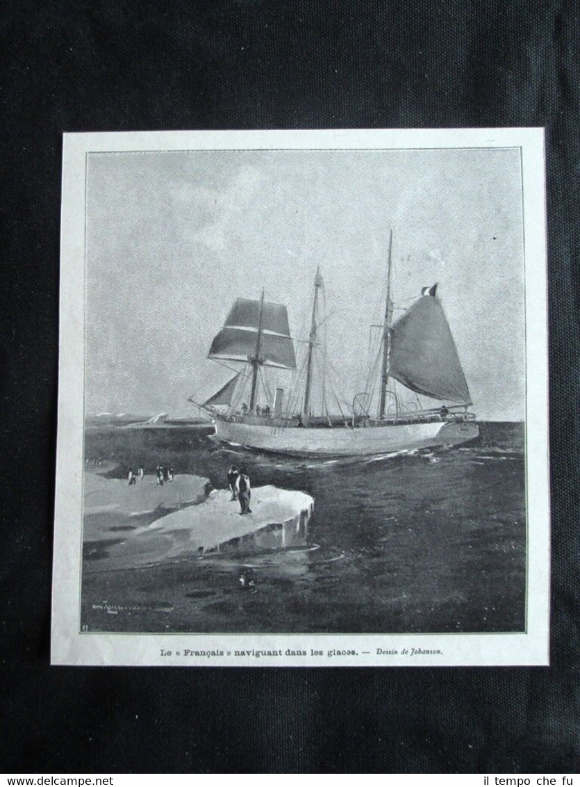 Il Francese naviga tra i ghiacci Stampa del 1905