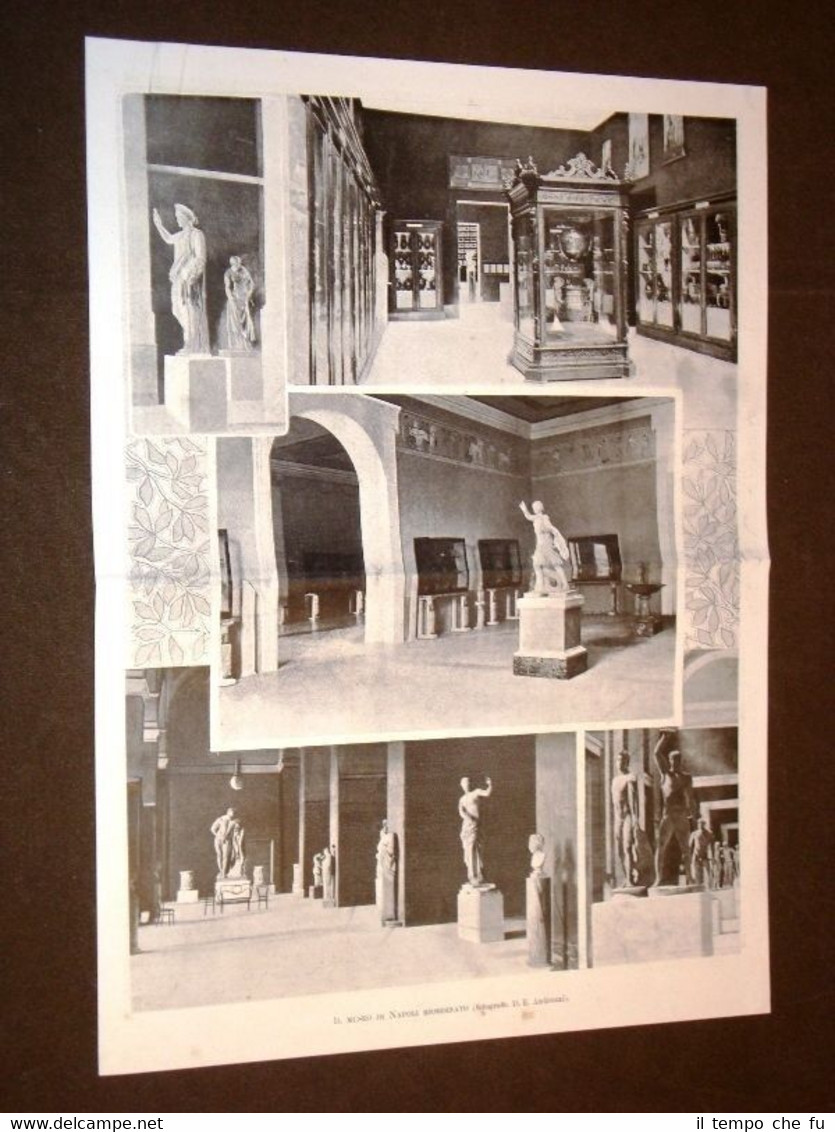 Il Museo di Napoli riordinato