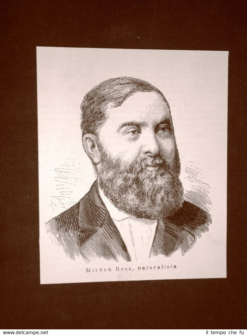 Il naturalista Alexander Milton Ross Belleville 13.12.1832 - Detroit, 27.12.1897
