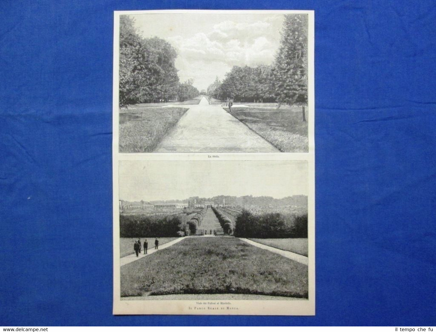 Il Parco Reale di Monza nel 1889: La Stella - …