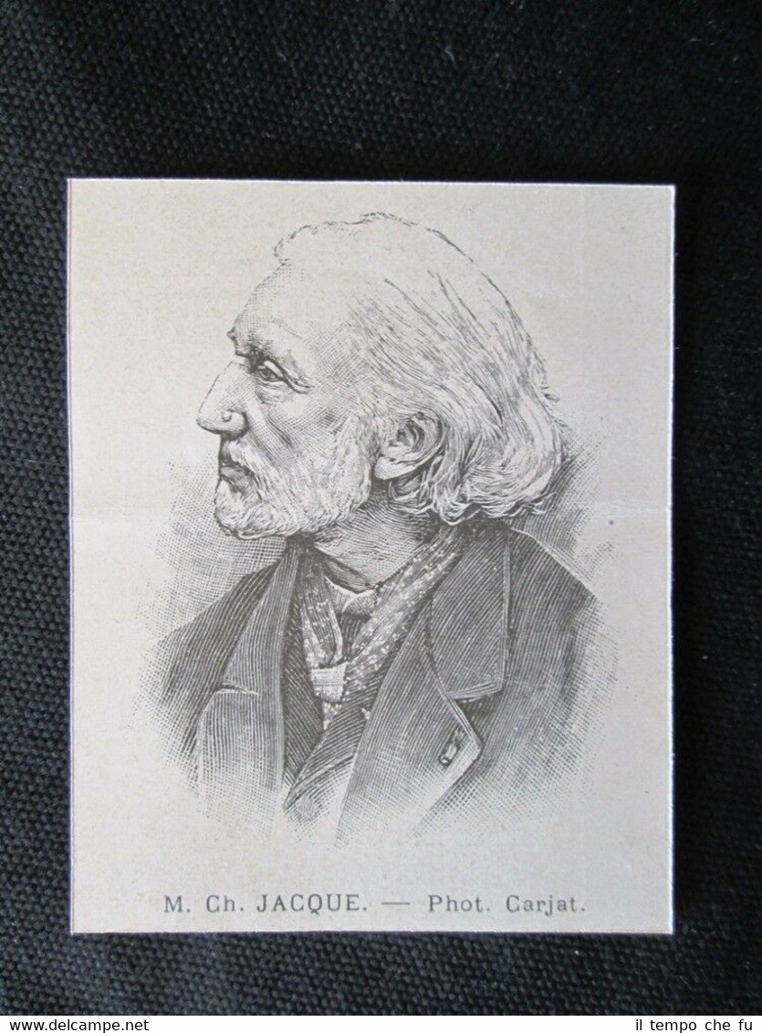 Il pittore francese Charles Jacque, morto il 7 maggio 1894 …