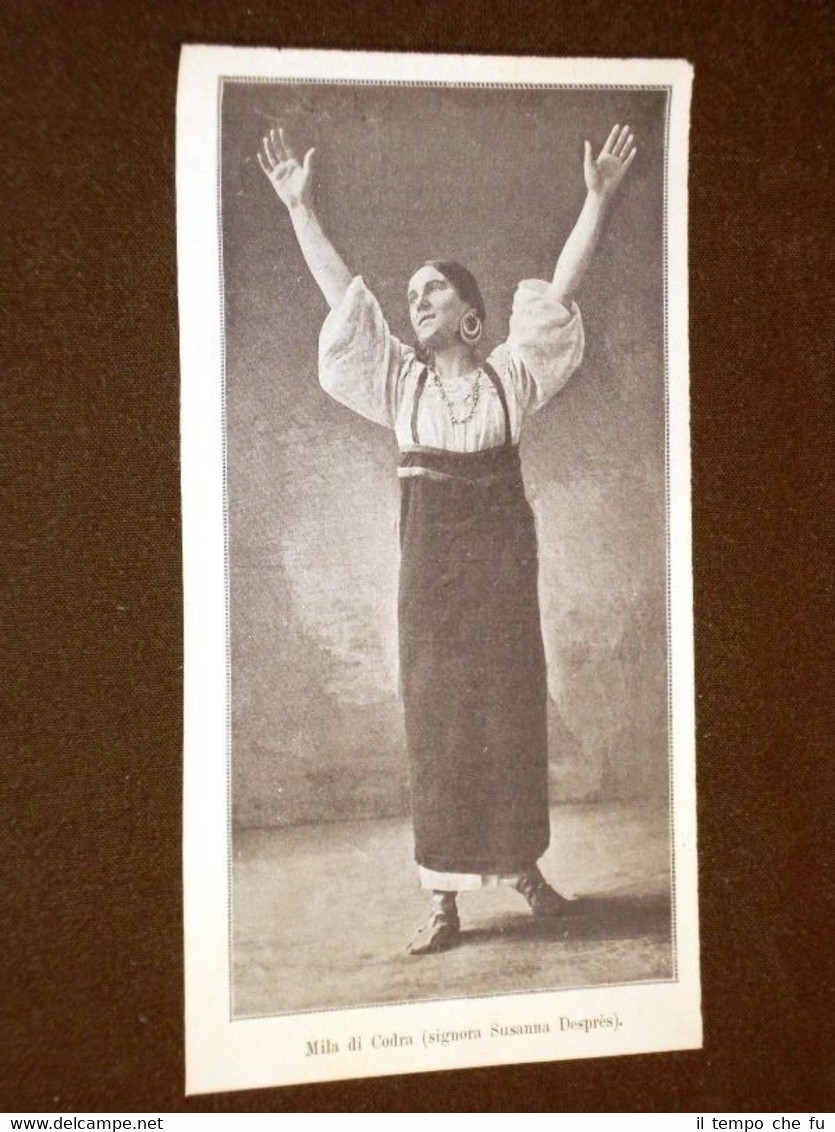 Il Teatro nel 1905 Attrice Mila di Codra (Signora Susanna …