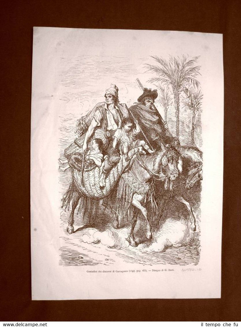 In Australia nel 1863 Contadini dei dintorni di Carcagente Disegno …