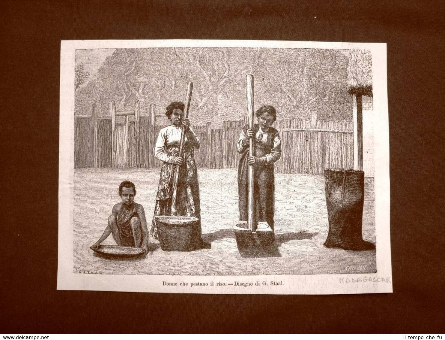 In Madagascar nel 1863 Donne che pestano il riso