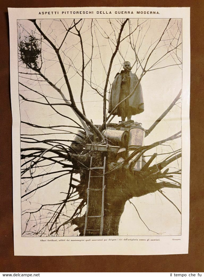 In Montenegro nel 1915 Alberi usati come osservatori WW1 Prima …