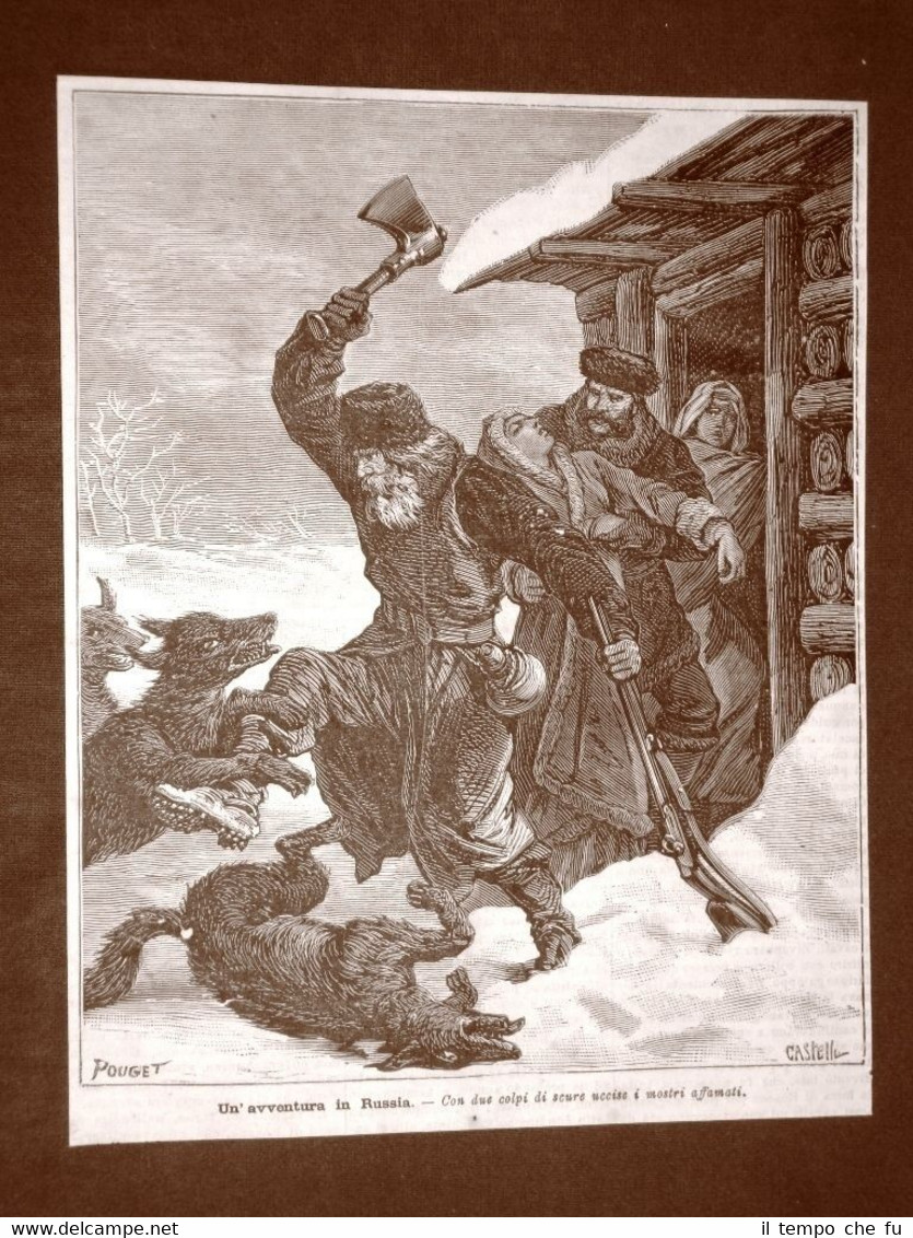 In Russia nel 1879 Uomo attaccato da lupi Federazione di …