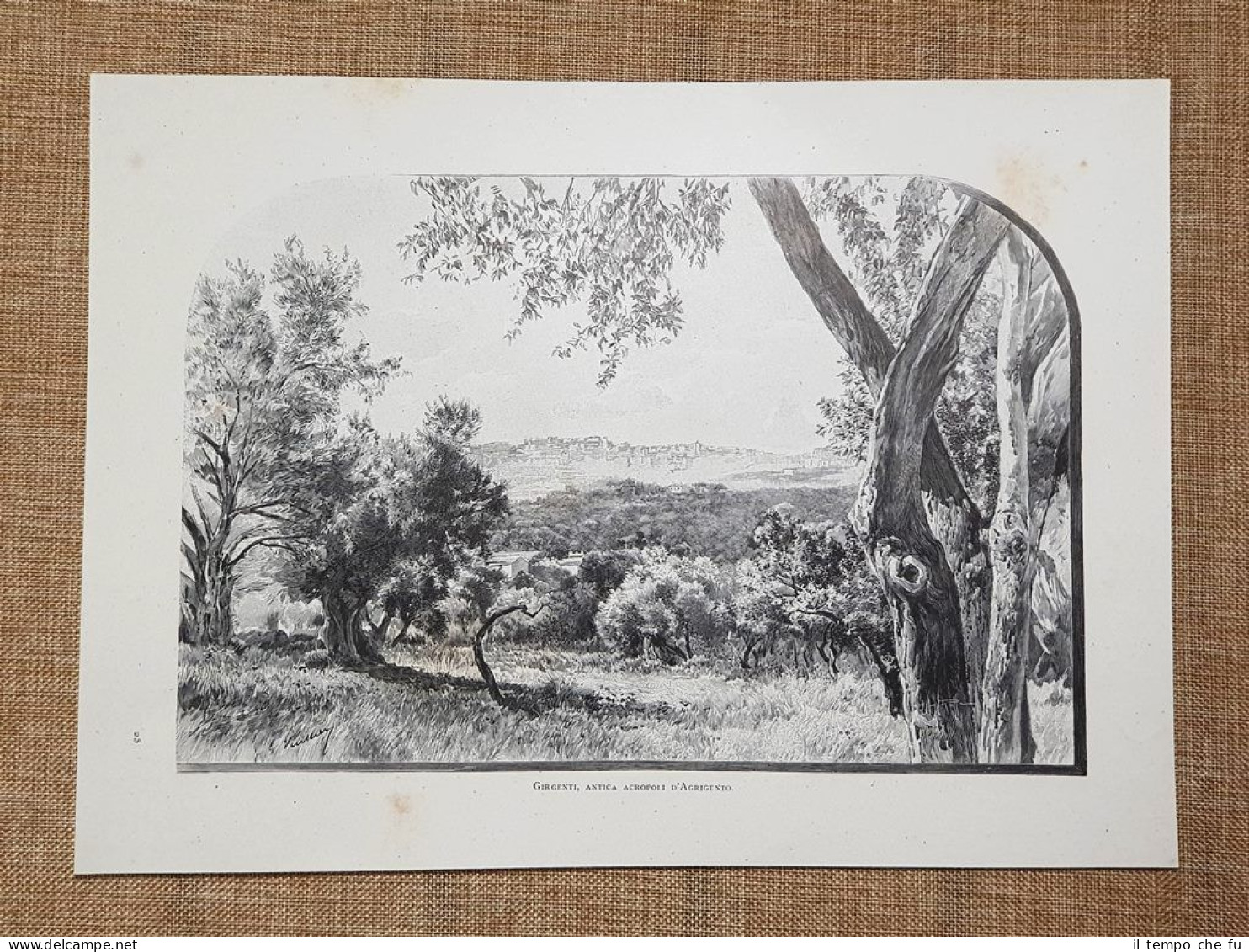 In Sicilia nel 1897 Antica Acropoli Agrigento o Girgenti Tavola …