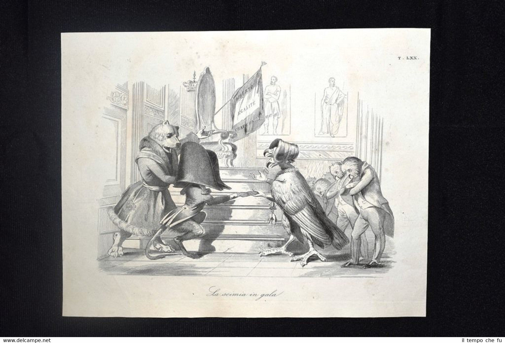 Incisione d'allegoria e satira Elezione Napoleone III, Francia Don Pirlone …