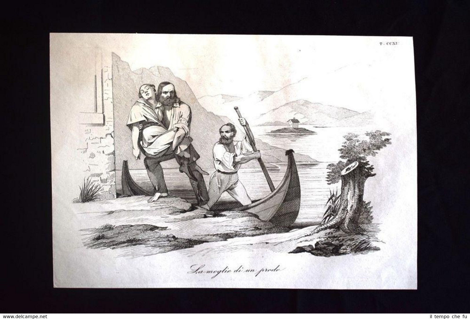 Incisione d'allegoria e satira La morte di Anita Garibaldi Don …