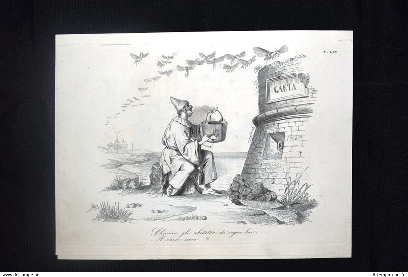 Incisione d'allegoria e satira Papa Pio IX,Gaeta,Ferdinando II Don Pirlone …