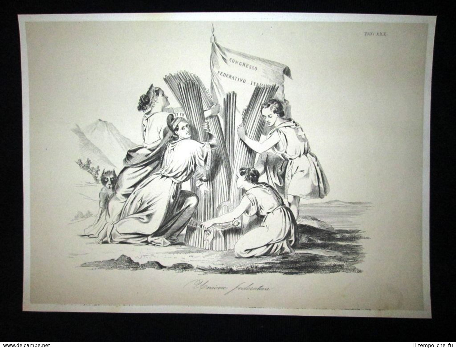 Incisione d'allegoria e satira Roma,Venezia,Toscana,Piemonte Don Pirlone 1851