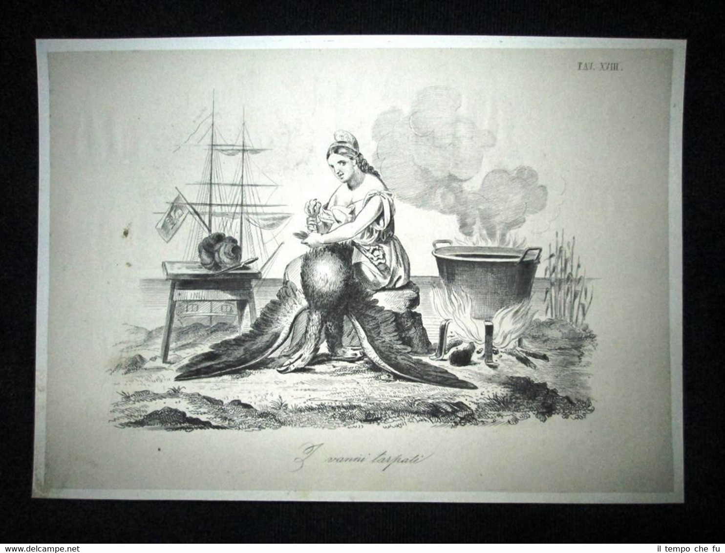 Incisione d'allegoria e satira Venezia, Austria, Italia Don Pirlone 1851