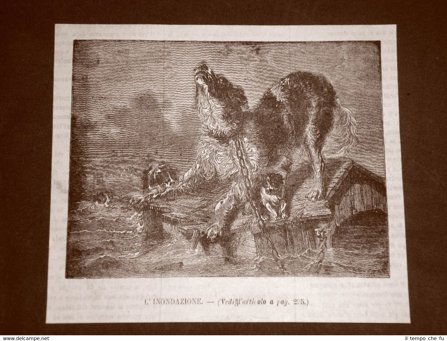 Incisione del 1865 Un cane nell'inondazione Autore da identificare (Forse …