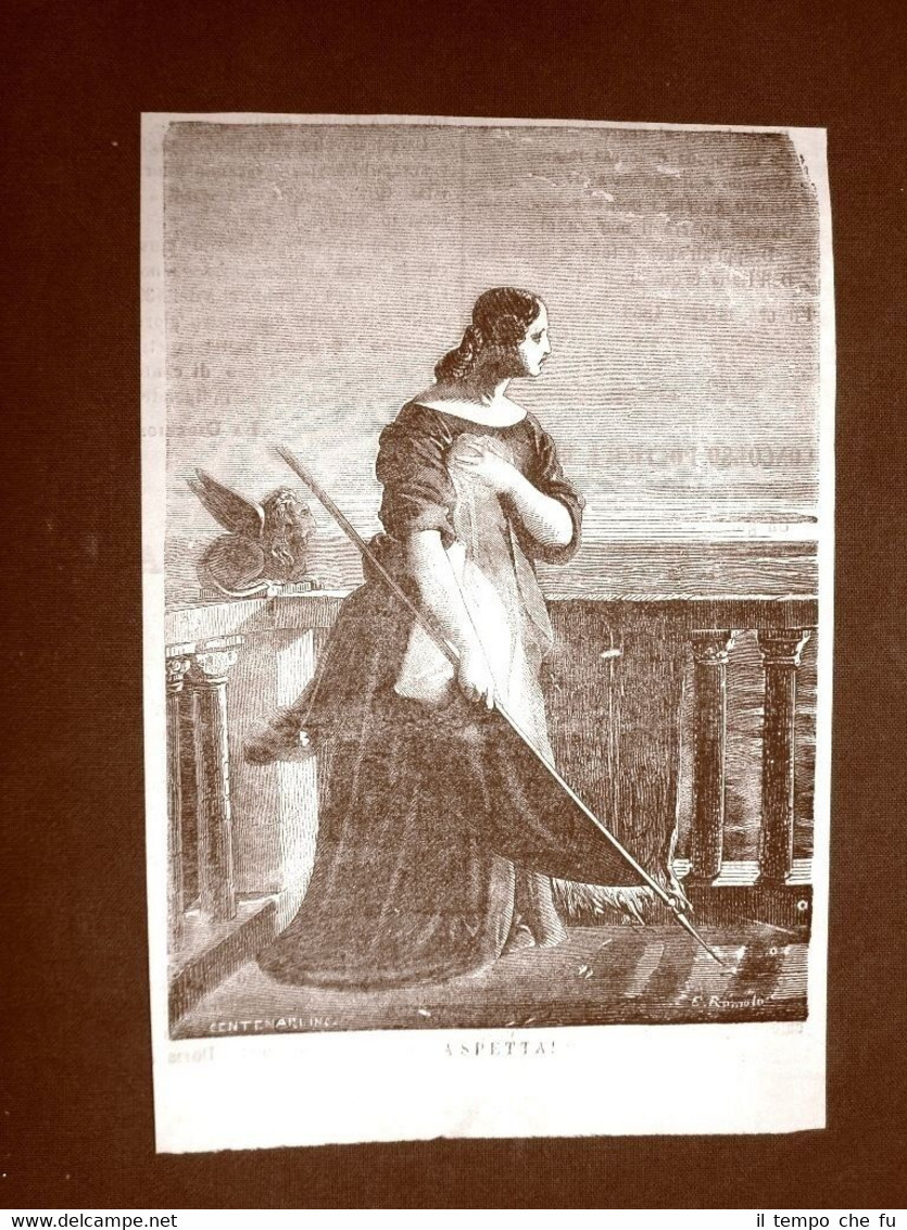 Incisione del 1866 Aspetta! Autore Centenari